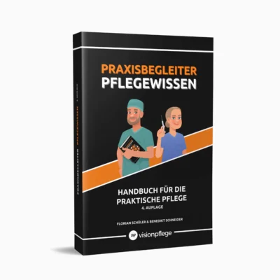 Visionpflege - Praxisbegleiter Pflegewissen