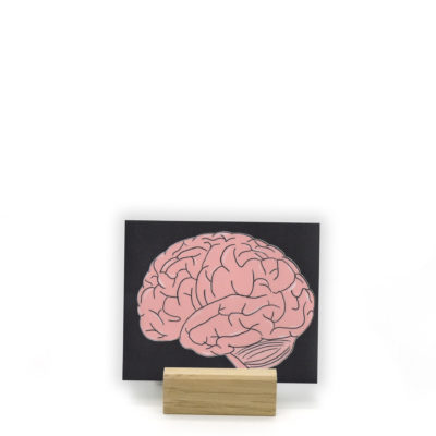 OTA Franzi Shop - Anatomie-Sticker Gehirn OTA Franzi